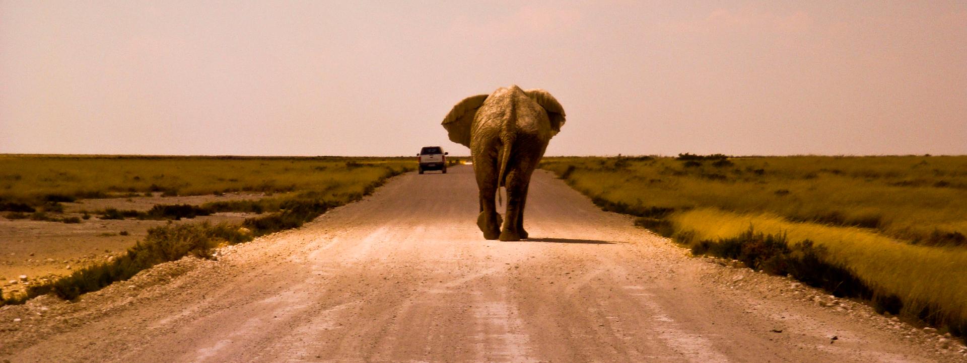 Etosha